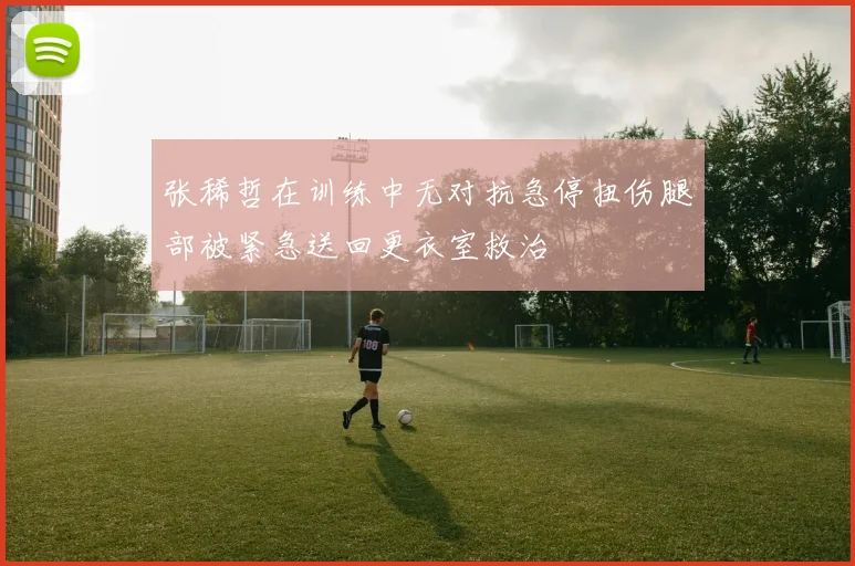 张稀哲在训练中无对抗急停扭伤腿部被紧急送回更衣室救治
