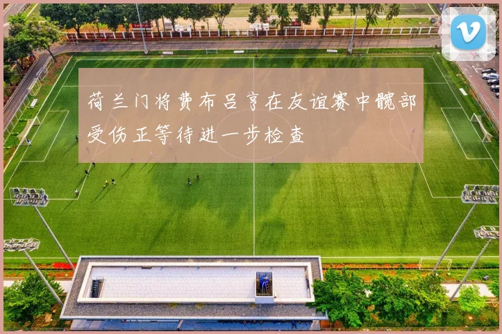 荷兰门将费布吕亨在友谊赛中髋部受伤正等待进一步检查